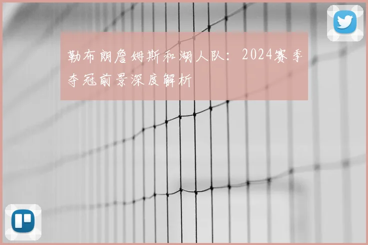 勒布朗詹姆斯和湖人队:2024赛季夺冠前景深度解析